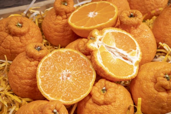 The one thing we loved most about the Raw Restart