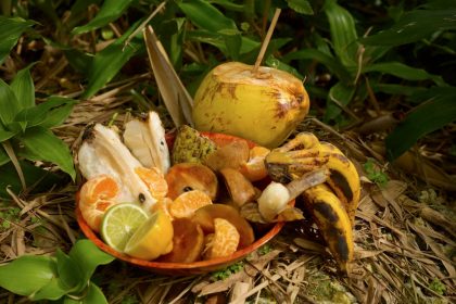 Announcing the WFF-2026 Speakers!