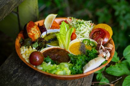 🌍 A World of Flavor: Raw Gourmet Dinners at WFF 2026